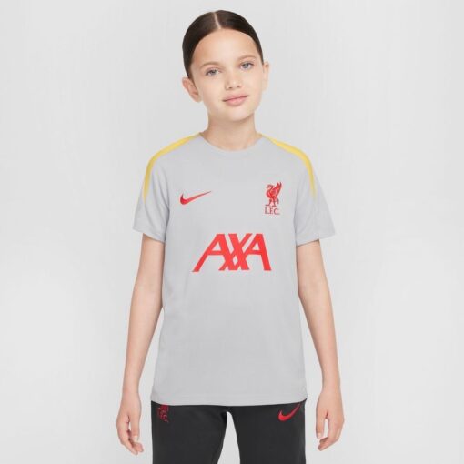 Liverpool Trænings T-Shirt Dri-FIT Strike 3. - Grå/Gul/Rød Børn